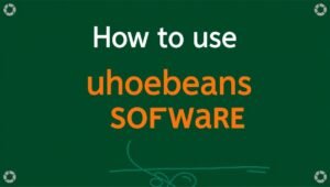 how to use uhoebeans software