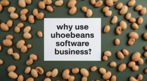 why use uhoebeans software in business
